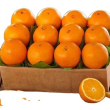 Manufacture Natural High Quality Sweet Fresh Citrus Mandarin Navel Orange